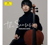 Haruma Sato - The Senses - SHM