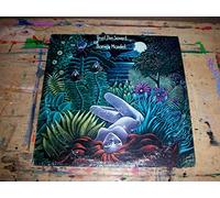 HARVEY MANDEL - feel the sound of... LP