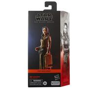 Star Wars The Black Series F55285X0 toy figure