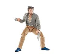 Hasbro Marvel Legends Deadpool & Wolverine Logan & Headpool