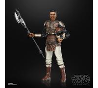 Hasbro F43645X0 toy figure