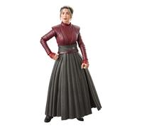 Star Wars The Black Series Morgan Elsbeth