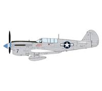 Hasegawa - p-40n