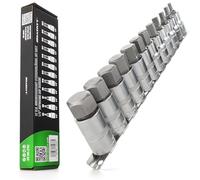 HASKYY Juego de llaves hexagonales de 1/2", 12 piezas, 5-22 mm, juego de llaves hexagonales en riel