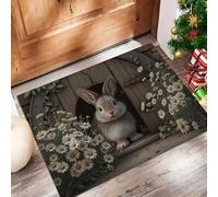 HASLEFND Felpudo de Entrada 45 x 75 cm, Felpudo Entrada Lavable en Lavadora Felpudos Animales Lindos Conejo Puerta de Madera Margarita con Base Antideslizante de TPR AlfombraMarrón