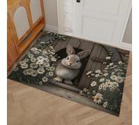 HASLEFND Felpudo Estampado Animales Lindos Puerta de Madera con Forma de Conejito Margarita con Suelo Antideslizante deTPR, Felpudos atrapa la Suciedad, Felpudo de Entrada,40 x 60 cm