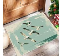 HASLEFND Felpudo Ilustraciones Retro para Interiores, 80 x 120 cm, Lavable, para la Entrada, atrapa la Suciedad, con Gaviota e ImpermeableVerde Menta