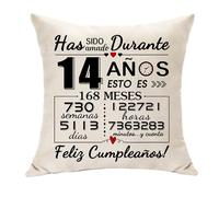 Hasodeo Has Sido Amado Durante 14 Años Regalos para Niña y Niño Celebrar 14º Cumpleaños Decoración Cojín Funda Regalos para Hija Hijo Sobrina Sobrino Nieta Nieto Hijastra Hijastro (14)
