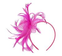 Hat Headband, Retro Mesh Headpiece, Small Hair Accessories for Girls, Women, Daily Us, Afternoon Teas, Social Events, Costume, Fashion Red, Dark Red, Black, Navy Blue, Hot Pink