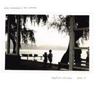 Hatakeyama,Chihei - Magnificent Little Dudes Vol 2 (Black Vinyl 2lp) [Vinilo]