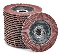 HATANSE 10 Discos Abrasivos Ø125mm x 22.2mm, Grano 40, Carburo de Silicio, Rojo, para Amoladoras Angulares, Acero Inoxidable, Metal, Madera