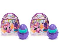 HATCHIMALS Alive - Juego Sorpresa de Arco Iris, con un Huevo autoeclosionante con Figura Sorpresa para niños a Partir de 3 años (Paquete de 2)