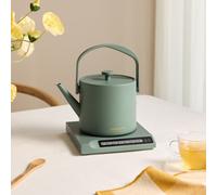 HATTORI - Hervidor De Agua Eléctrico 0.5 L Con Control De Temperatura Sage