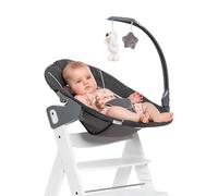 hauck Alpha Bouncer Deluxe 2 en 1 Hamaca Trona Evolutiva, Grey