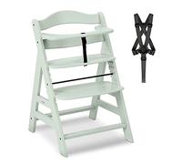 hauck Trona Alpha Plus Mint