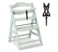 hauck Trona Alpha Plus Mint