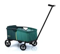 hauck Eco Light Carro Playa, Carro Transporte Playa con Asiento para 1 Niño, Carro para Niños Plegable, Carro Plegable hasta 50 kg, Verde