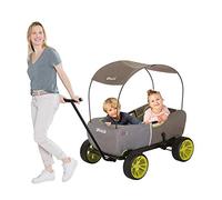 hauck Eco Mobil Carro de Mano, apto para 2 Niños, Carro Transporte Plegable, Antivuelco, Toldo, Bollerwagen Niños, Asiento Acolchado, Freno, Carro Plegable, Carga Máxima 50 kg, Forrest Grayge