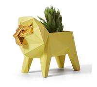 HAUCOZE Macetas de Planta Suculenta Flores Figura León Decorativa Animal Escultura Regalo Modern Estatua Interior Salon Arte Resina Decoración del Hogar 15cm