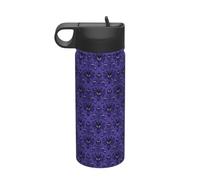 Haunted Mansion Printing - Botella de metal aislada de agua de 18 onzas, termo deportivo al vacío de doble pared para bebidas frías