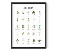 HAUS AND HUES Imágenes de Hierbas para la Cocina Arte de la Pared Cocina Hierbas Arte de la Pared e Impresiones botánicas Hierbas Art Cottage Core Decor (12 "x 16 ", SIN Marco)