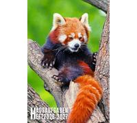 Hausaufgabenheft 2026/2027: Roter Panda - Schulplaner Für Grundschule, Mädchen, Jungen, Teenager Mit Wochenplaner Und Mehr| Viel Platz Für Fach, Aufgaben, Notizen