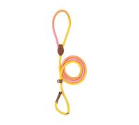 Haustiergurt, Hundegurt im Freien - Welpen Walk -Gurt Nylon Seil ohne Zug - Anti-Slip-Hochfest im Freien kleine mittelgroße Hundezubehör zum Gehen, Camping