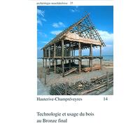 Hauterive-Champréveyres 14: Technologie et usage du bois au Bronze final