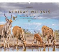 Hautnah - Afrikas Wildnis 2027: Wandkalender 60x50 cm mit 12 Tierfotografien und humorvollen Bildunterschriften