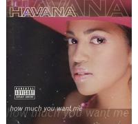 Havana - How Much You Want Me