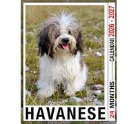 Havanese Calendar 2026 - 2027: Monthly Layout for 2026-2027 with Notes Section and Goal Tracking