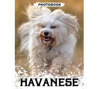 Havanese Photo Book: Cuban Lap Dog Images Showcasing Silky Coat Beauty And Playful, Affectionate Moments In Warm Home Settings