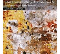Havard Fossum, Borge Are Halvorsen - Examen De Lo Que