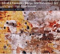 Fossum, Havard - Examination Of What