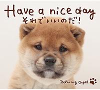 Have a Nice Day [Digipack]
