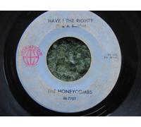 Have I The Right? / Please Don't Pretend Again