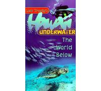Hawaii Underwater The World Below