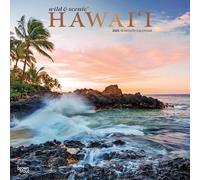 Hawaii Wild & Scenic 2025 12 X 24 Inch Monthly Square Wall Calendar Foil Stamped Cover Plastic-Free
