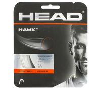 Hawk