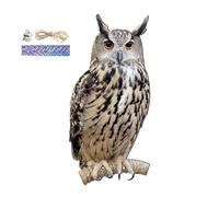 Hawk Bird Scarers For Gardens Hanging Flat Fake Owl Decoy To Scare Birds Away Device Pigeon Repeller