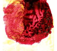 Hawk, Dane T.S - Hear We Go