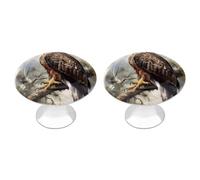 Hawk Sitting In The Tree - Juego de 2 pomos de armario de cocina vintage de acero inoxidable decorativos para cajones de tocador, baño, puerta plegable