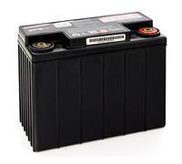 Hawker Enersys Genesis 12EP13 - Batería de Plomo ácido (12 V, 13 EP, 13 Ah, 13000 mAh, Casquillo M6)