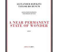 Hawkins, Alexander - A Near Permanent State Of Wonder