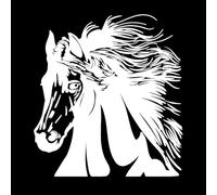 Hay una hermosa cabeza de caballo y un semental animal. Decoración de vinilo para pared 54x58.9cm Decoración artística Blanco