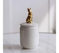 HAYAHA Urnas de Mascotas Urna de cremación de Mascotas Urna Conmemorativa de cerámica Hecha a Mano for Conejo Pajaritos Perros pequeños Cenizas (Blanco (Color : Rabbit)
