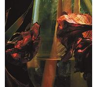Hayvanlar Alemi - Psychedelia In Times Of Turbulence (Limited 3 Colours Vinyl) [Vinilo]
