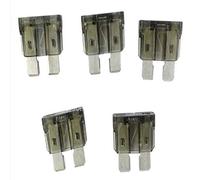 Hayward HPXFUSE1A - Kit de repuesto de fusibles de 1 amperio Heatpro bomba de calor, juego de 5