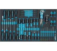 HAZET Juego de destornilladores 163-480/57N, 57 piezas, PH00-PH3, T5-T40, ranurados, Phillips, hexágono interior, perfil TORX interior, incl juego de destornilladores offset y comprobador de fases