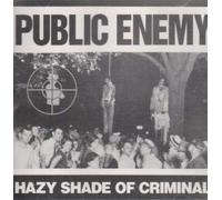 Hazy Shade of Criminal